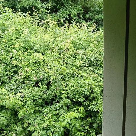 La Panoramica A Mini-hôtel Molino del Pallone